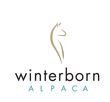 Winterborn Alpaca