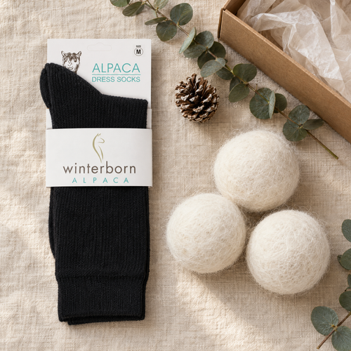 Winterborn Cozy Home alpaca gift set: solid black alpaca dress socks in Winterborn packaging and three alpaca wool dryer balls