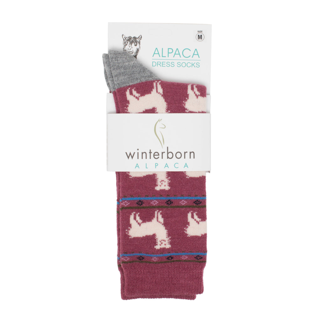 Red alpaca socks with an alpaca pattern in Winterborn packaging