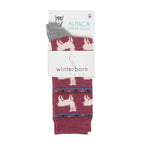 Red alpaca socks with an alpaca pattern in Winterborn packaging